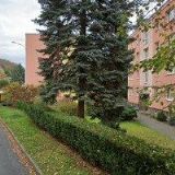 MGR. HELENA GABRIELA FOŘTOVÁ