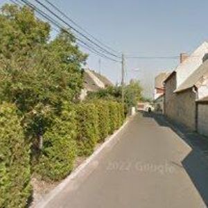 obrazek: avatar PETR MORŤANIK