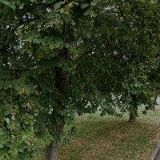 ČERNÍ KONĚ - SPOLEK LITOMĚŘICE