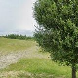 ING. VLADIMÍR ŠKALOUD