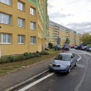 obrazek: avatar JINDŘIŠKA WILDUMETZOVÁ