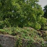 JUDR. LUDOVÍT ZSIGMOND