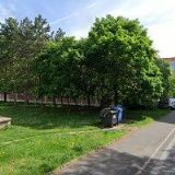 MIROSLAVA ERLITZOVÁ