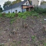 VLADISLAVA WIEDEMANNOVÁ