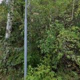 EU FINANCIAL SERVICES