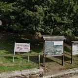 ING. DAGMAR VAŠÍČKOVÁ