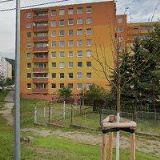 ING. ROMANA NAVRÁTILOVÁ