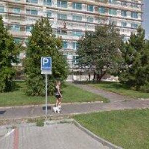 obrazek: avatar MARIE ŠTAJEROVÁ