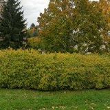 VAŠE ZUBNÍ CENTRUM