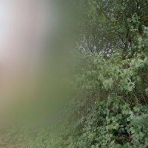 obrazek: avatar KATEŘINA KOUBOVÁ