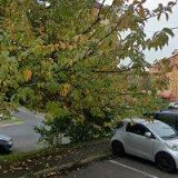 BC. VLADIMÍRA GÁLLOVÁ