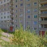 SYLVA RIEDERER POPOVÁ