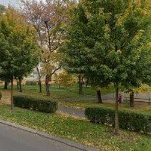 obrazek: avatar LUKÁŠ MUNYU