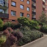 LUDMILA NOVÁČKOVÁ