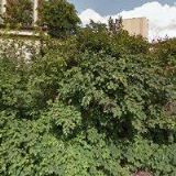 JAROSLAW MARCIN PETKA