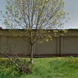 SERGEJ ALEXANDROVIČ GOLOVČENKO