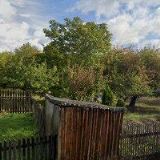 HELENA LOŠŤÁKOVÁ