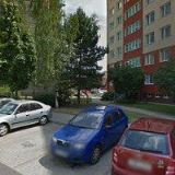 KATEŘINA DOBROVOLNÁ