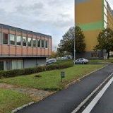 LENKA GILLOVÁ, DIS.