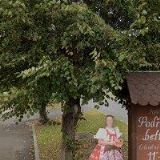 SDRUŽENÍ PRO OBEC BECHLÍN - PŘEDONÍN,