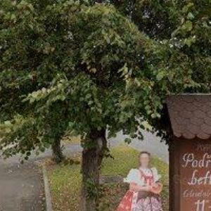 obrazek: avatar SDRUŽENÍ PRO OBEC BECHLÍN - PŘEDONÍN,