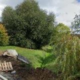 WALDEMAR ČERVEŇÁK