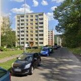 DOMINIKA SKŘIVANOVÁ