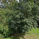 SPOLEČENSTVÍ VLASTNÍKŮ DOMU Č.P. 2010, PŘEDMĚSTÍ, LITOMĚŘICE