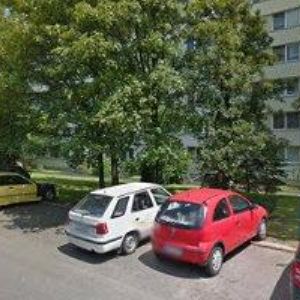 obrazek: avatar MICHAL PONDĚLÍK