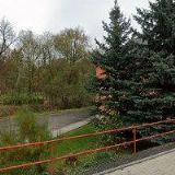 ZUZANA DOBŠÍČKOVÁ