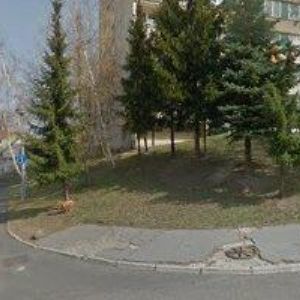 obrazek: avatar PAVLA ZIMMERMANNOVÁ