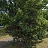 ZO ODBOROVÉHO SVAZU PRACOVNÍKŮ OBCHODU BILLA LOVOSICE