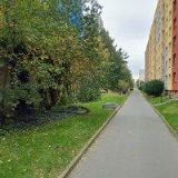 ING. VENDULA NOVOTKOVÁ