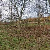 SOUSEDÉ 55+  RŮŽOVÁ