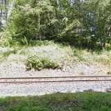 ZÁKLADNÍ ORGANIZACE ODBOROVÉHO SVAZU ZDRAVOTNICTVÍ A SOCIÁLNÍ PÉČE ČR, DOMOV PRO OSOBY SE ZDRAVOTNÍM