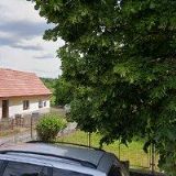 ADA KNESPL GRYGARČÍKOVÁ