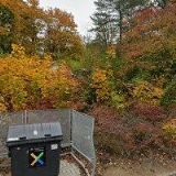 JAROSLAVA OLEJNICZAKOVÁ