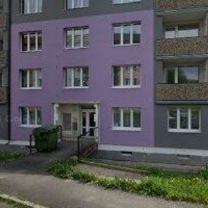obrazek: avatar DANUŠE RENDLOVÁ