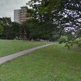 PAVLA BISKUPOVÁ, DIS.