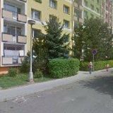 MVDR. ELIŠKA LEŠNEROVÁ