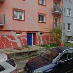 obrazek: avatar BRIGITA ADÁMKOVÁ