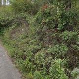 OKRESNÍ ORGANIZACE ČSŽ ÚSTÍ NAD LABEM