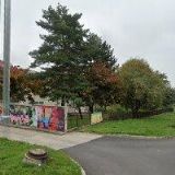 ZÁKLADNÍ ORGANIZACE - ZÁKLADNÍ ŠKOLA