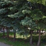 KATEŘINA PAVLÍČKOVÁ