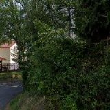 MISIZUAL, ZAPSANÝ SPOLEK