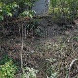 ING. BC. BLANKA RÝZNAROVÁ