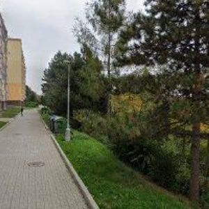 obrazek: avatar KAMIL KMEČ