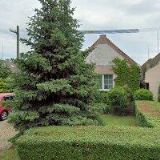 DANA ZLATOHLÁVKOVÁ