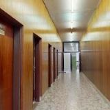 ZÁKLADNÍ ORGANIZACE ZÁKLADNÍ ŠKOLA A MATEŘSKÁ ŠKOLA