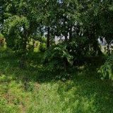 PP AUTOCENTRUM s.r.o.